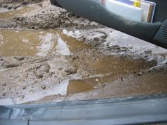 Stuck in the Mud